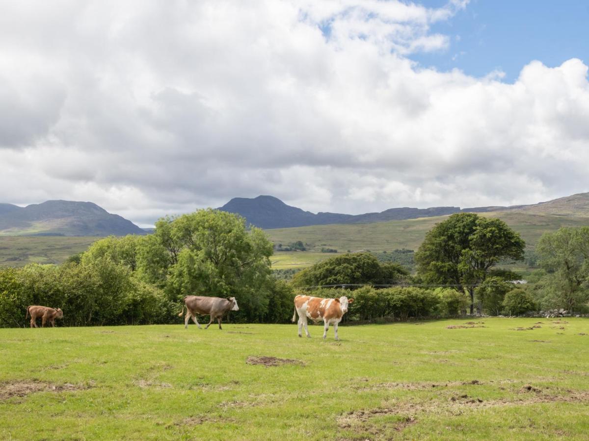 Hendre Cottage Trawsfynydd Екстер'єр фото